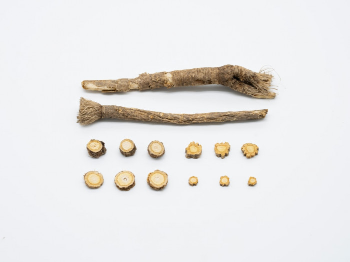 Diplomat Akademi İngilizce Kursu