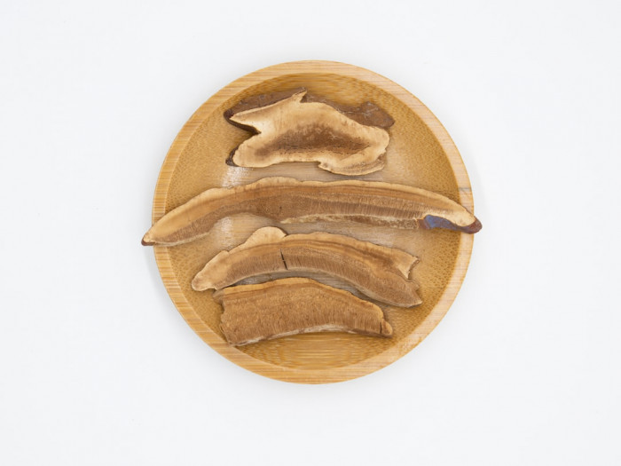 İstanbul Üniversitesi Hukuk Fakültesi İngilizce Hazırlık Eğitimi